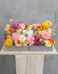 Picture for category Tray Arrangement